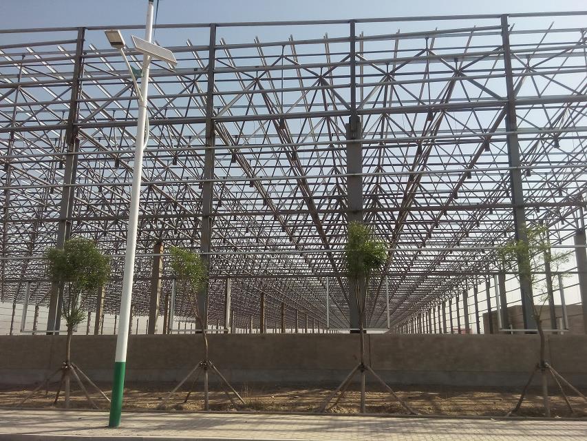三亚汽车工业厂房网架